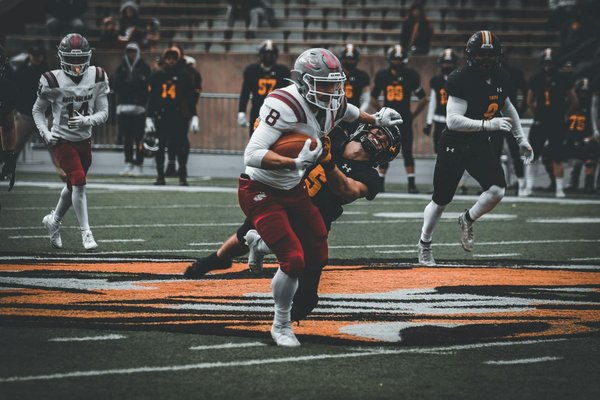 Can Exotic Fish Be Successfully Kept in a Home Aquarium?