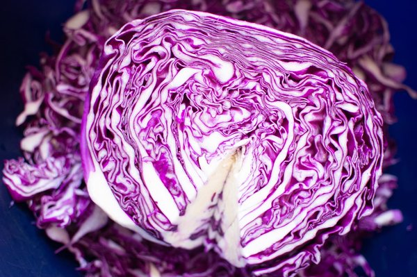 How Do Probiotic Foods Contribute to a Healthy Immune System?